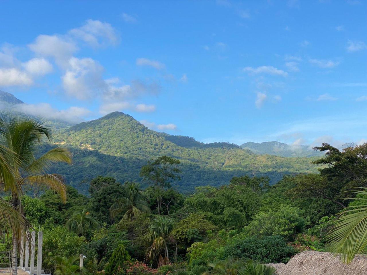 Hostal Recuerdos Del Tayrona 埃尔扎伊诺 外观 照片