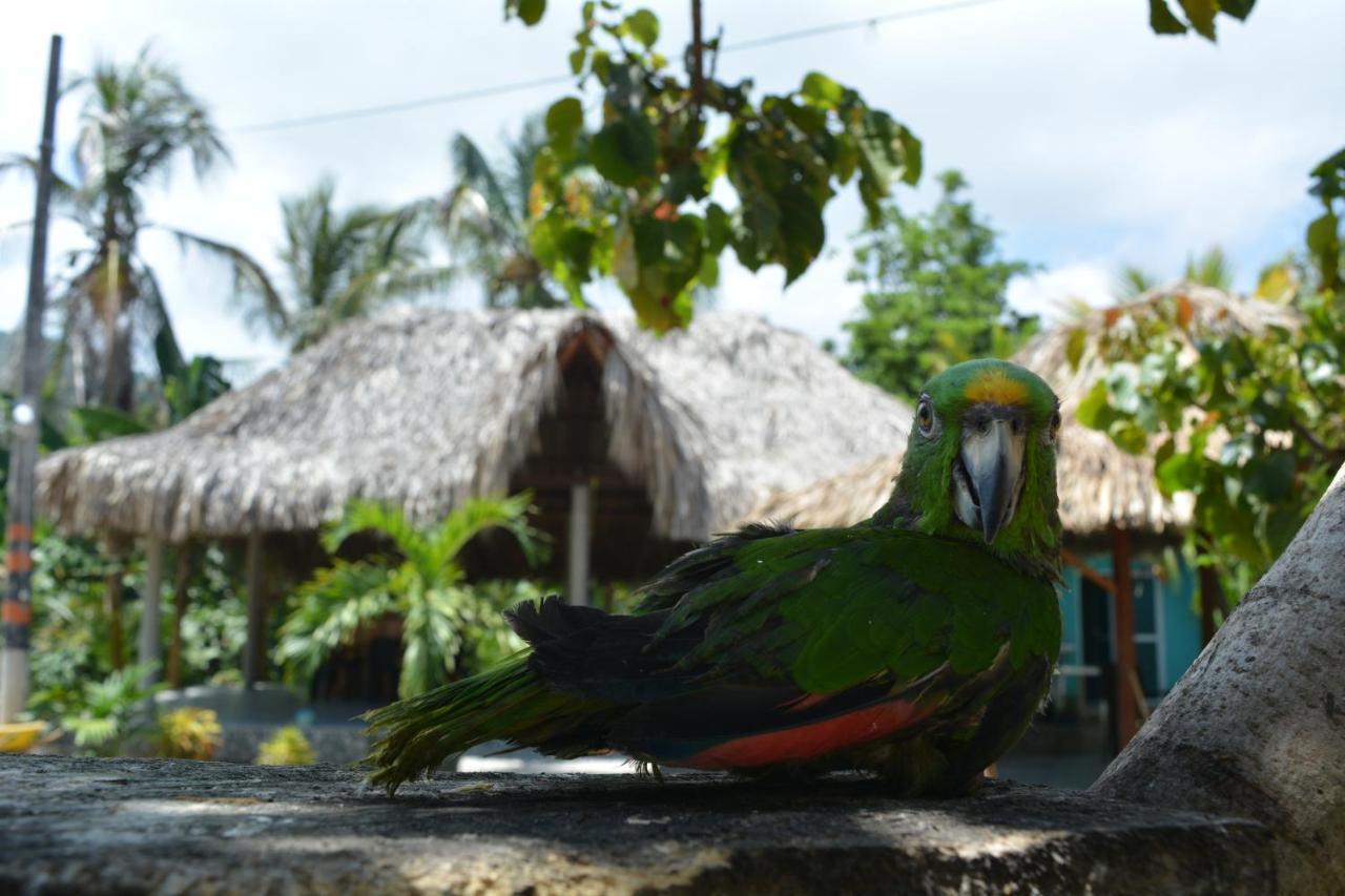 Hostal Recuerdos Del Tayrona 埃尔扎伊诺 外观 照片