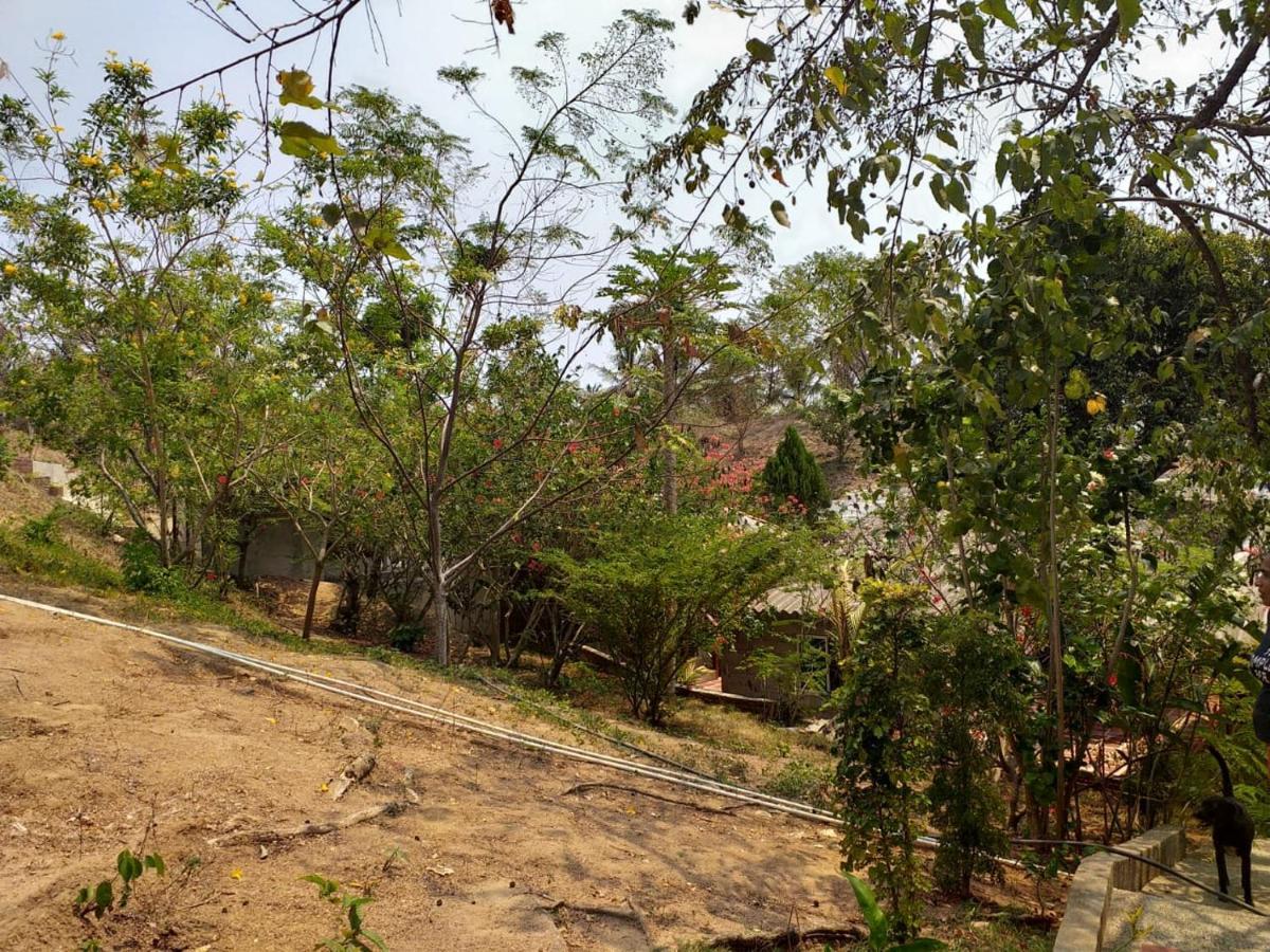 Hostal Recuerdos Del Tayrona 埃尔扎伊诺 外观 照片